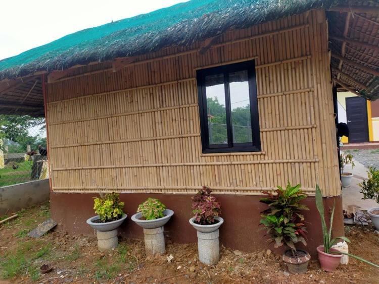 Casa De Flores ألامينوس المظهر الخارجي الصورة