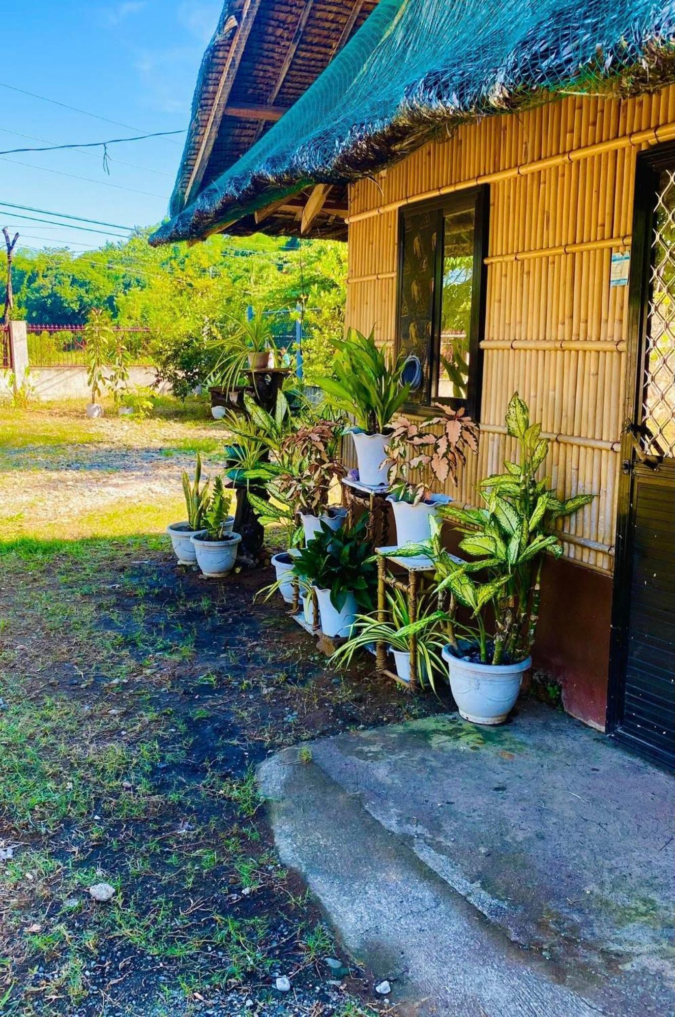 Casa De Flores ألامينوس المظهر الخارجي الصورة
